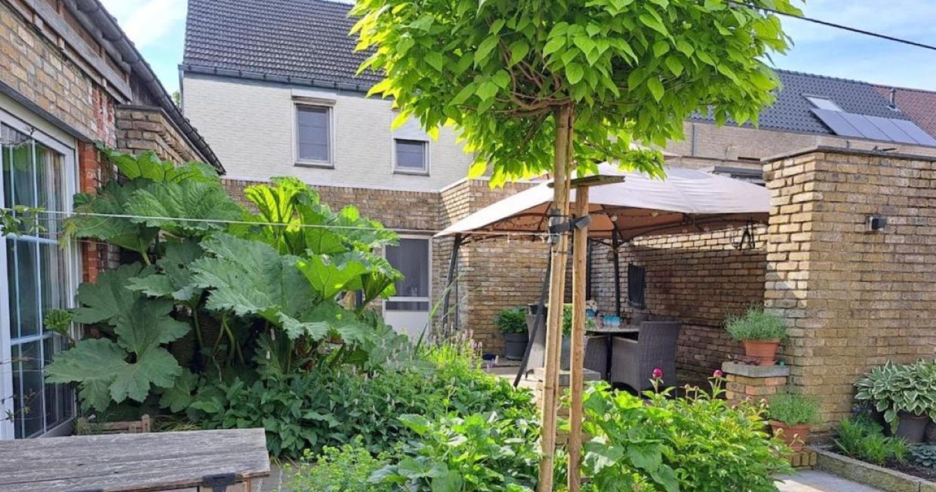 Landbaene - 5 (vergroot foto)