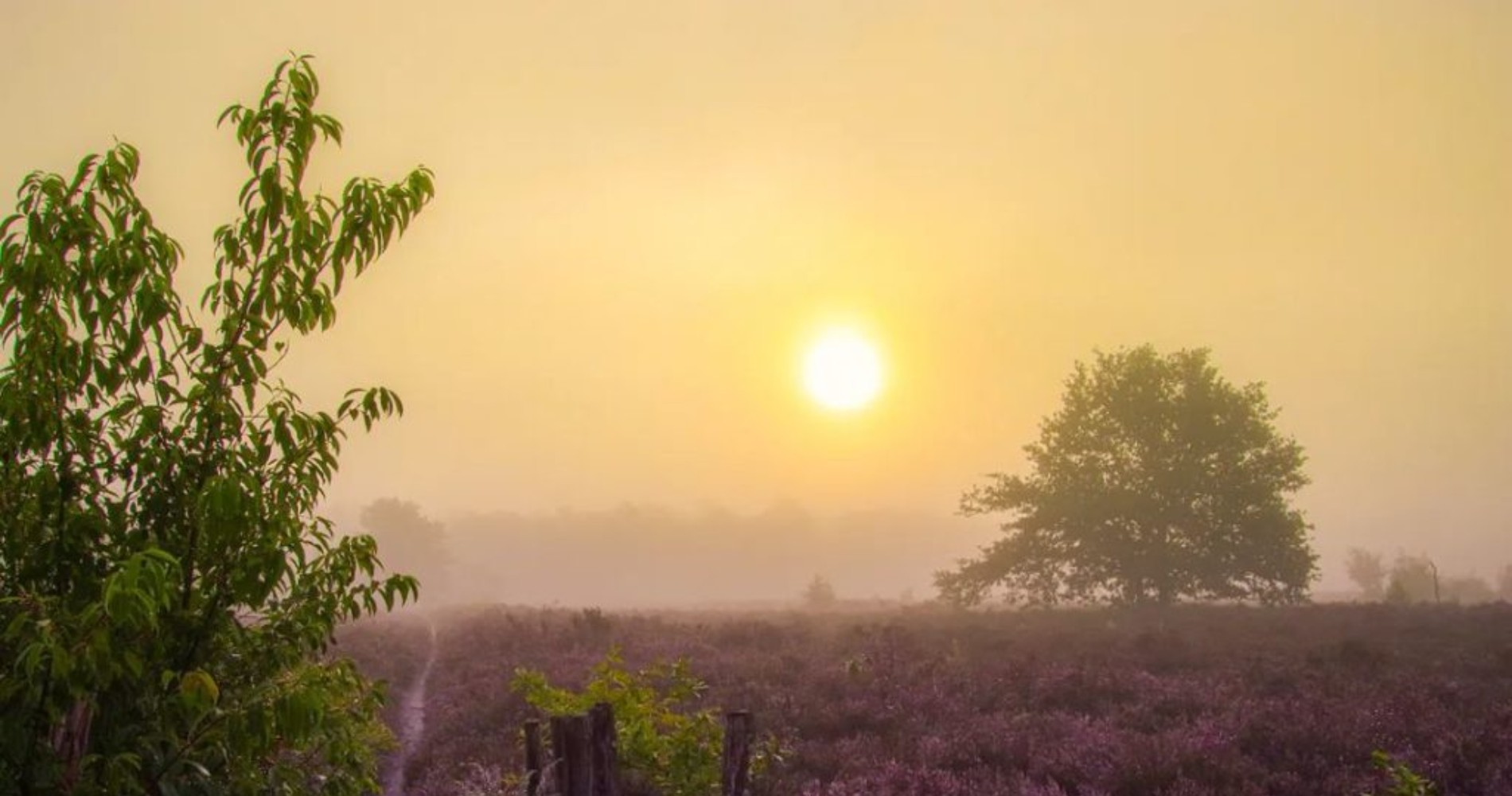 Rowen Boons (@fotografie__rowen) (vergroot foto)