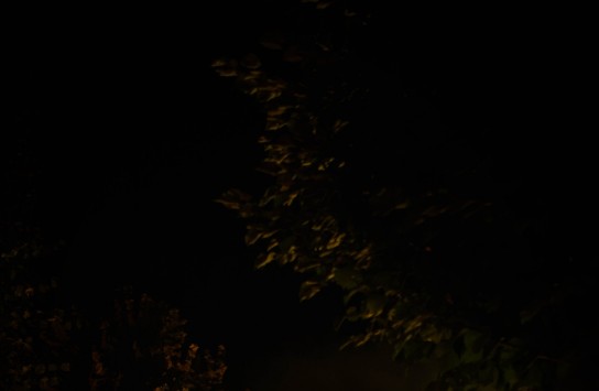 (vergroot foto)