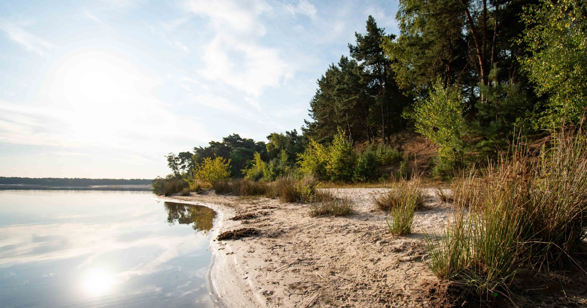 Water zandstrand bossen Heuvelse Heide (vergroot foto)