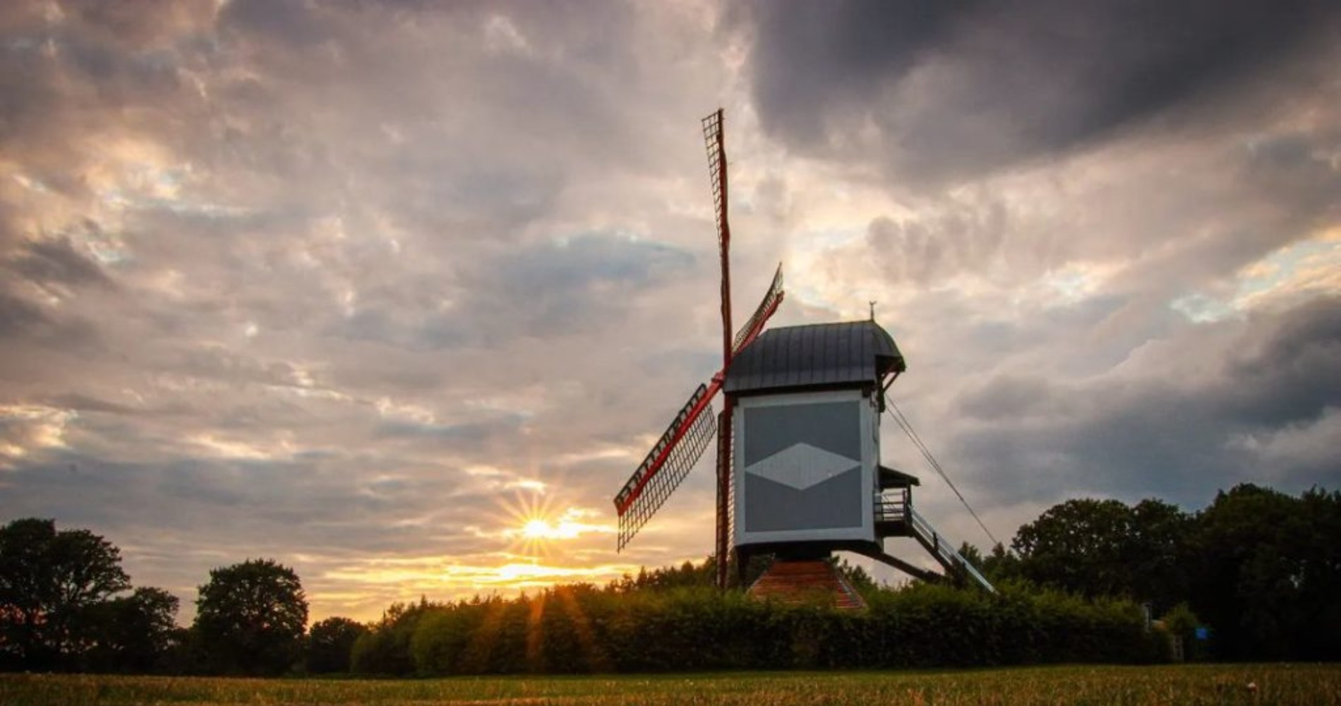 Rowen Boons (@fotografie__rowen) (vergroot foto)